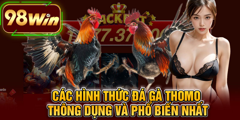 Các Hình Thức Đá Gà Thomo Thông Dụng Và Phổ Biến Nhất