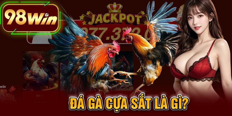 Đá Gà Cựa Sắt Là Gì?