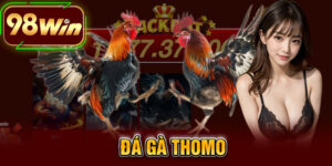 Đá Gà Thomo