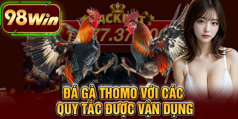 Đá Gà Thomo Với Các Quy Tắc Được Vận Dụng