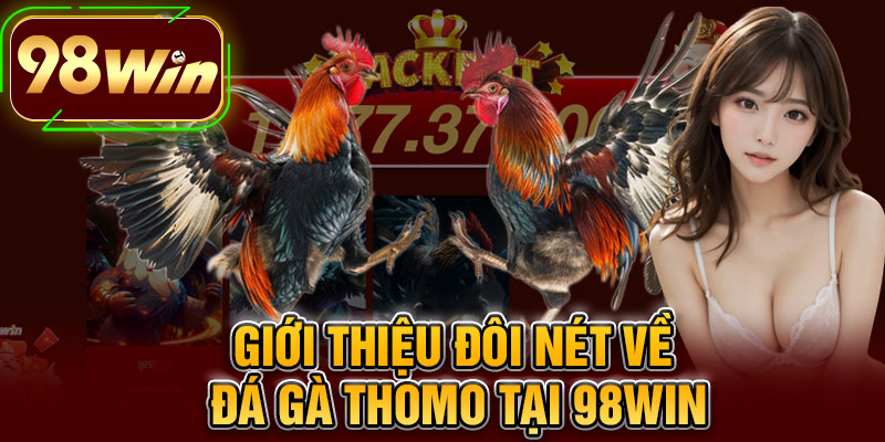 Giới Thiệu Đôi Nét Về Đá Gà Thomo Tại 98WIN