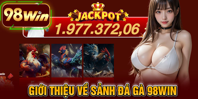 Giới Thiệu Về Sảnh Đá Gà 98WIN